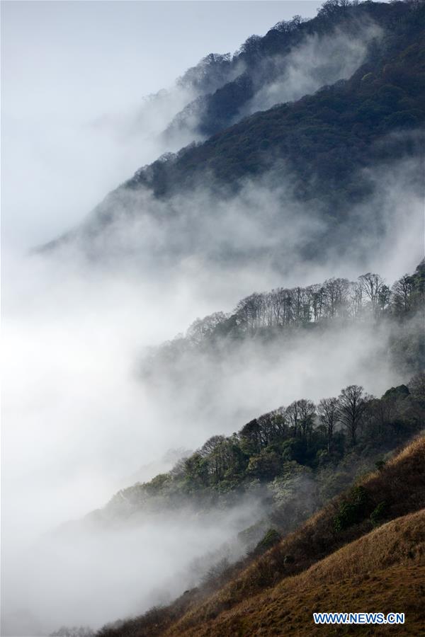 #CHINA-GUIZHOU-MIAOLING-SCENERY (CN)