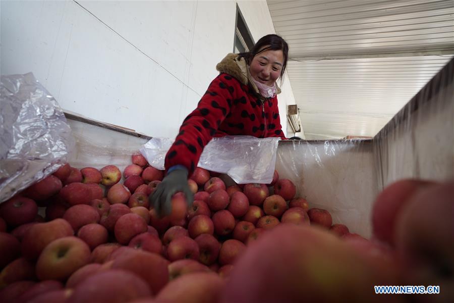 CHINA-SHANDONG-LINYI-RURAL ROAD (CN)