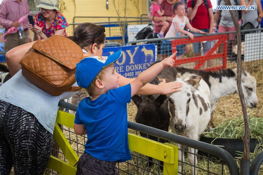 AUSTRALIA-CANBERRA-AGRICULTURAL SHOW