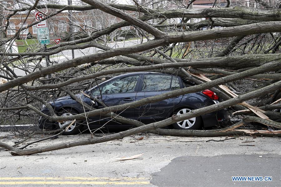 U.S.-WASHINGTON D.C.-WINDSTORM