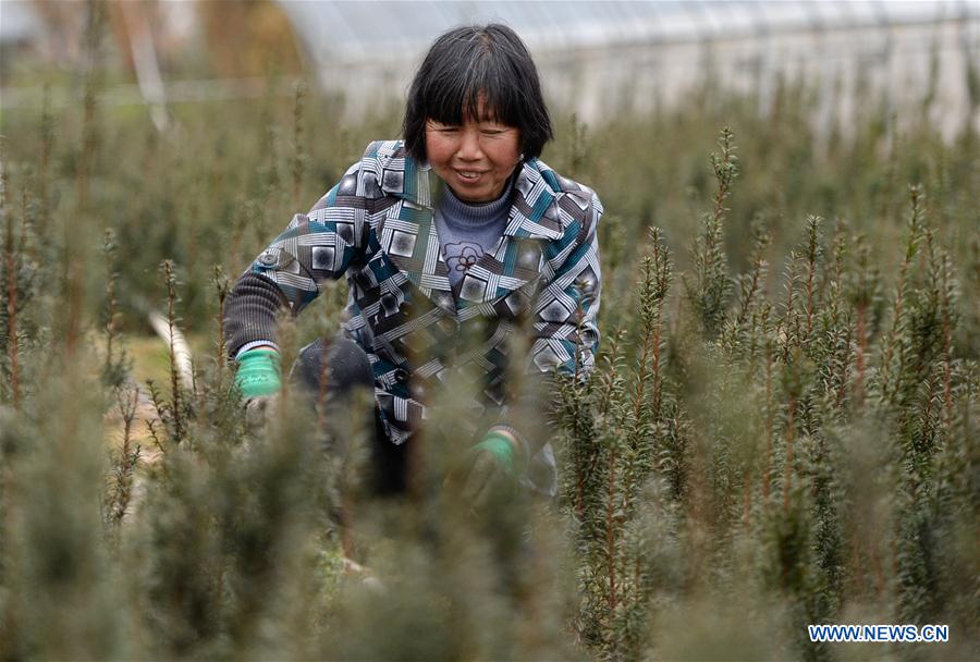 CHINA-JINGZHE-FARM WORK (CN) 