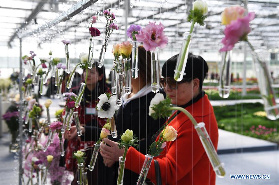 CHINA-CHONGQING-NETHERLANDS-FLOWER-SHOW (CN)