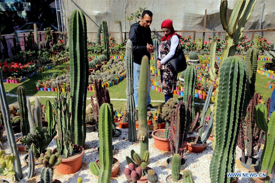 EGYPT-GIZA-SPRING FLOWER EXHIBITION