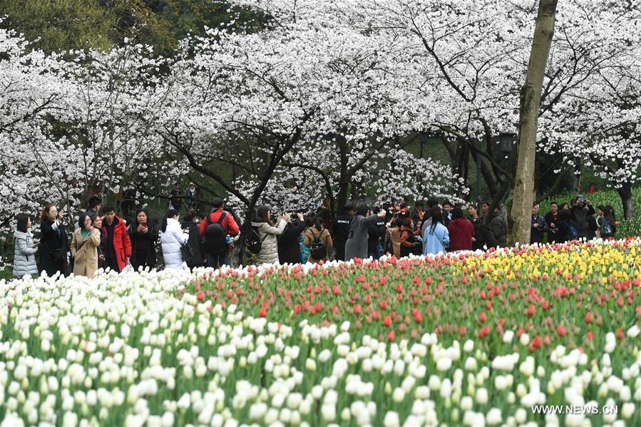 CHINA-HANGZHOU-FLOWERS (CN)