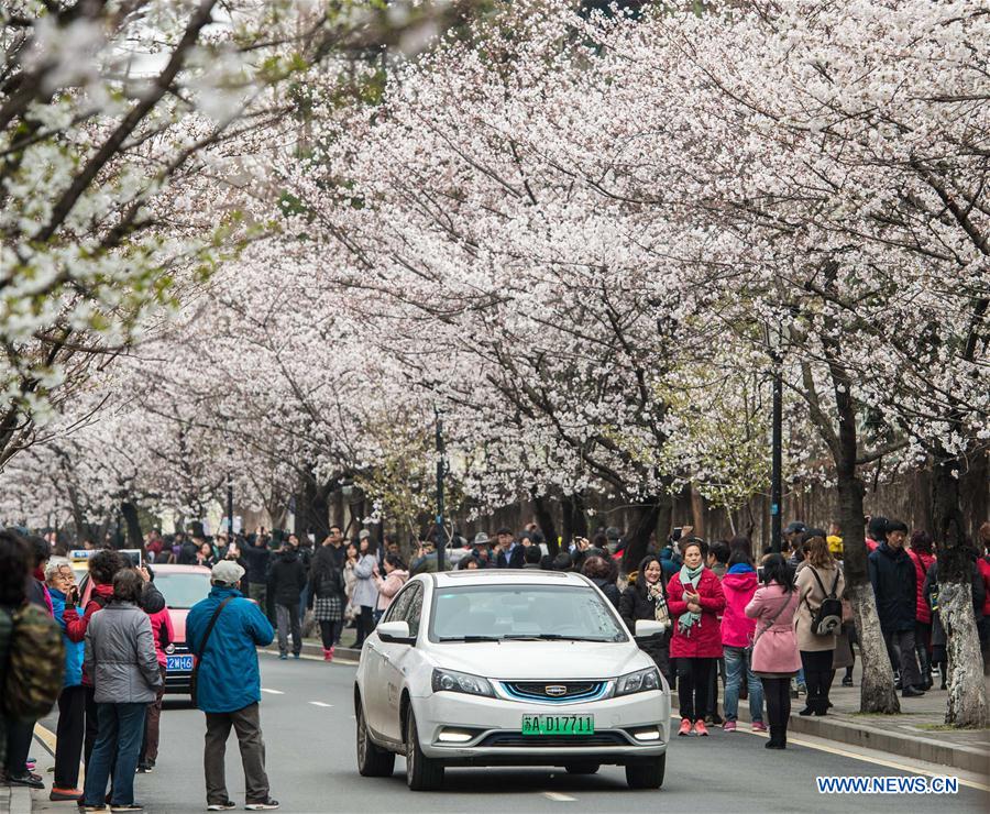 CHINA-NANJING-SPRING VIEWS (CN)