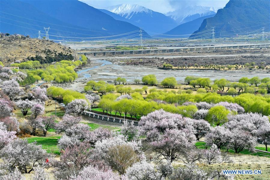 CHINA-TIBET-NYINGCHI-SCENERY(CN)