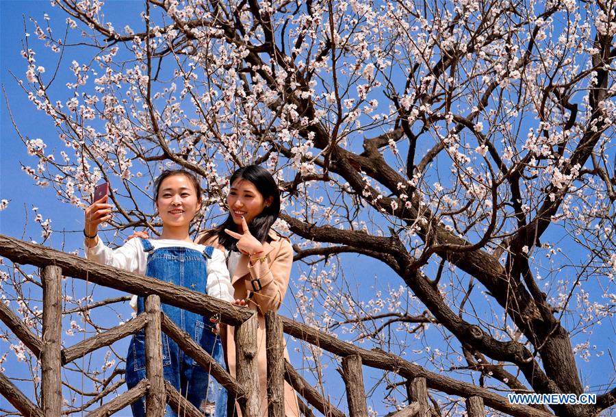 CHINA-HEBEI-HANDAN-SPRING SCENERY (CN)