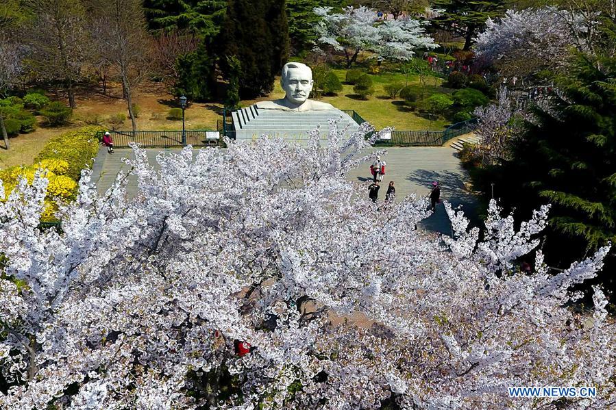 CHINA-SHANDONG-QINGDAO-FLOWER APPRECIATION (CN)