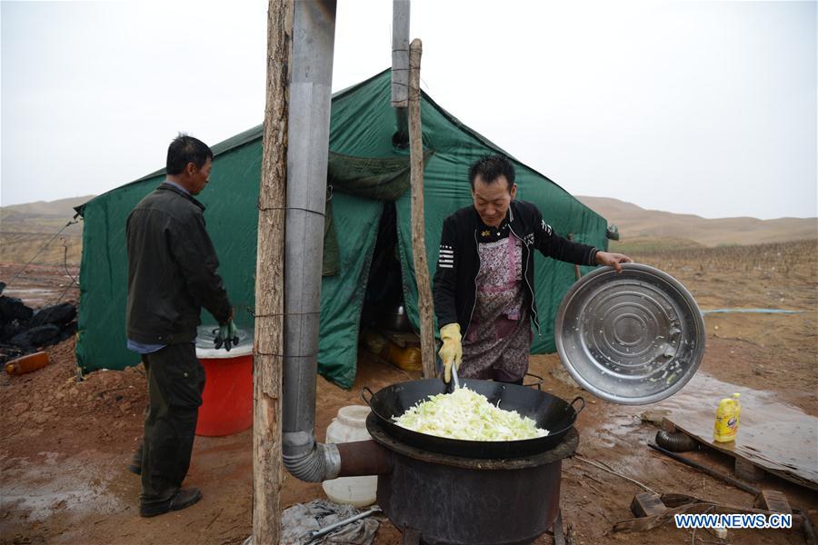 CHINA-INNER MONGOLIA-KUBUQI DESERT-WORKERS (CN)