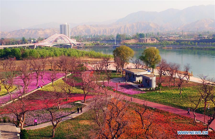 CHINA-GANSU-YONGJING-TULIPS (CN)