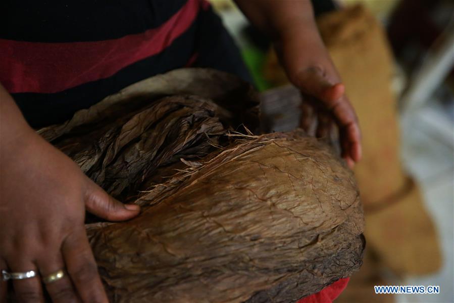 THE DOMINICAN REPUBLIC-SANTO DOMINGO-CIGAR FACTORY