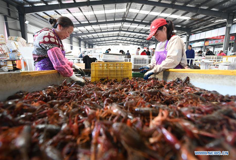 #CHINA-HUBEI-FOOD INDUSTRY-CRAYFISH (CN)