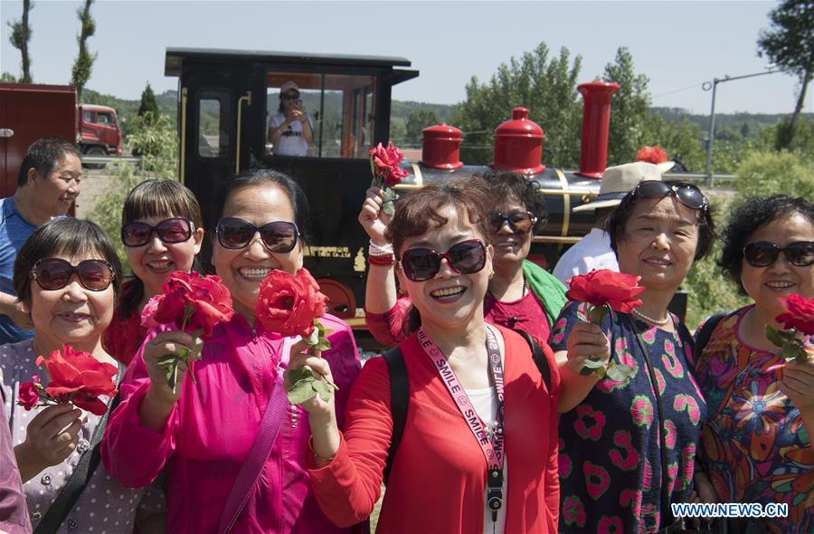 CHINA-SHAANXI-LUONAN-ROSE (CN)