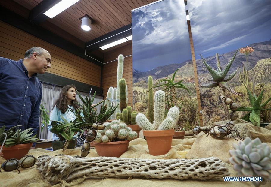 CANADA-VANCOUVER-DESERT PLANT SHOW