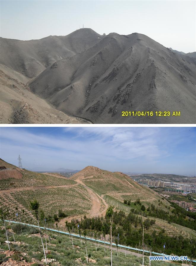 CHINA-XINJIANG-URUMQI-AFFORESTATION (CN)