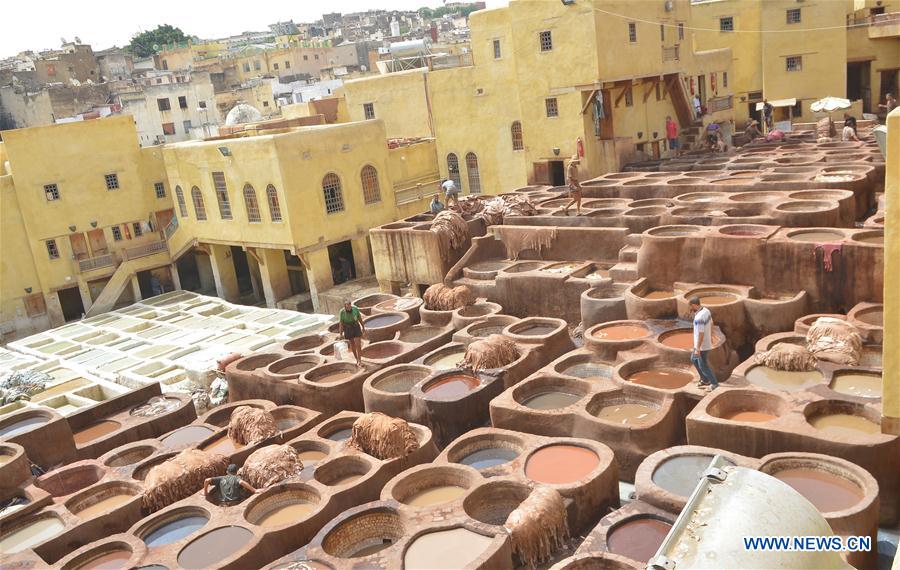 MOROCCO-FEZ-CHAOUWARA TANNERY