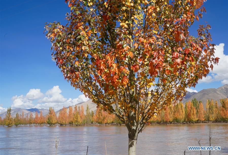 CHINA-TIBET-SCENERY (CN)