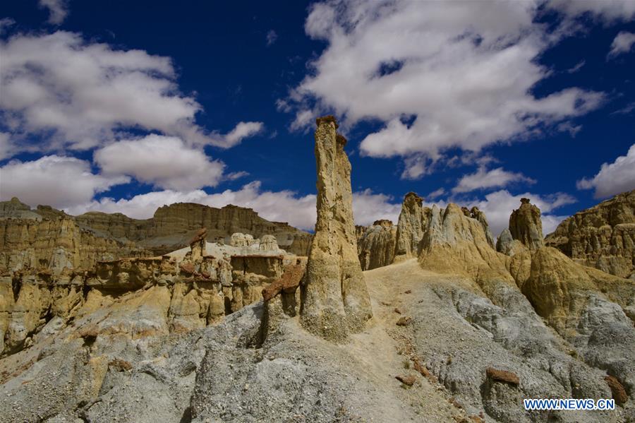 CHINA-TIBET-ALI-SCENERY-EARTH FOREST (CN)