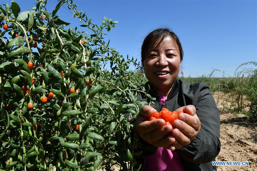 CHINA-NINGXIA-WUZHONG-ECOLOGICAL RELOCATION (CN)