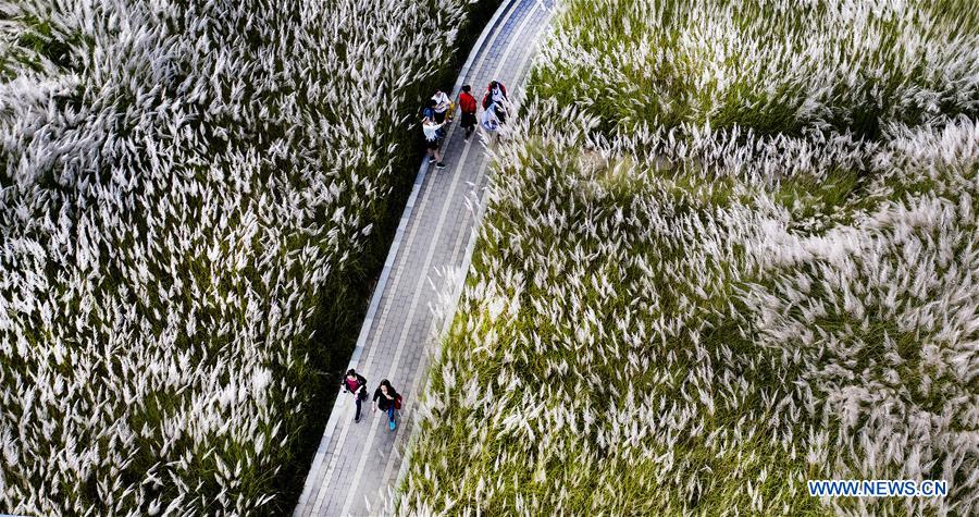 CHINA-SHAANXI-HANJIANG RIVER-WETLAND (CN)