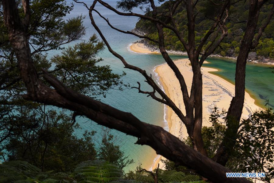 NEW ZEALAND-ABEL TASMAN NATIONAL PARK-DAILY LIFE