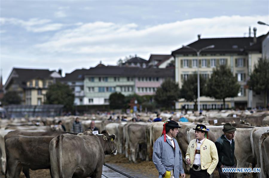 SWITZERLAND-APPENZELL-CATTLE SHOW