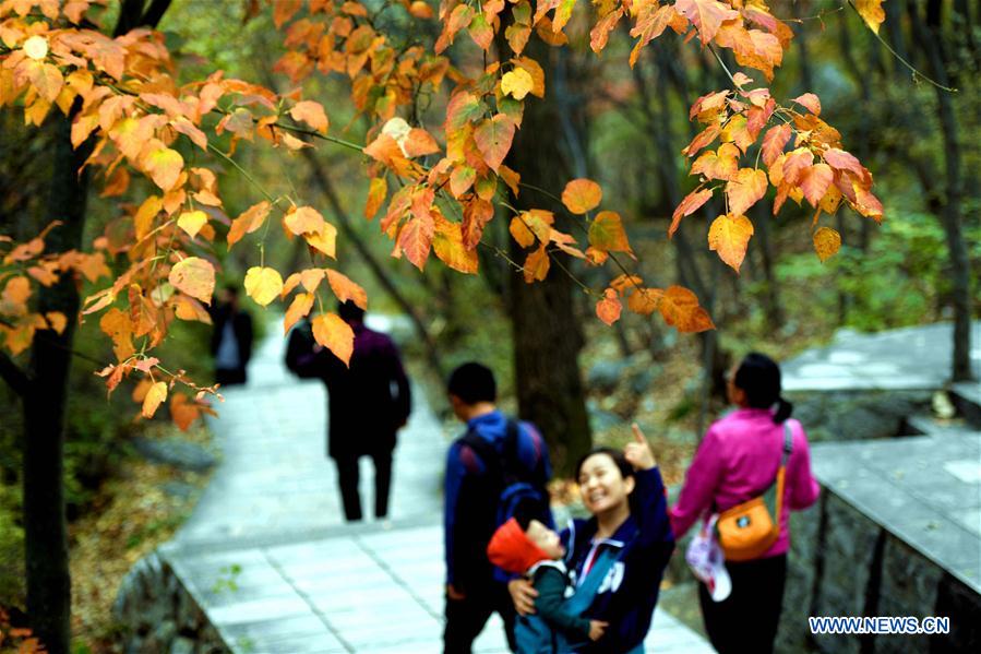 #CHINA-HEBEI-TAIHANG MOUNTAIN-AUTUMN (CN)