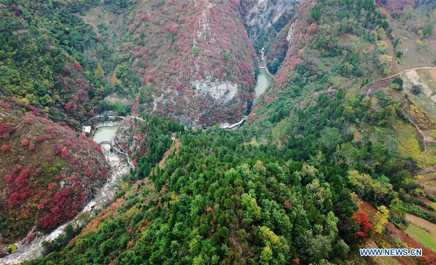 CHINA-GANSU-LONGNAN-AUTUMN-SCENERY (CN)