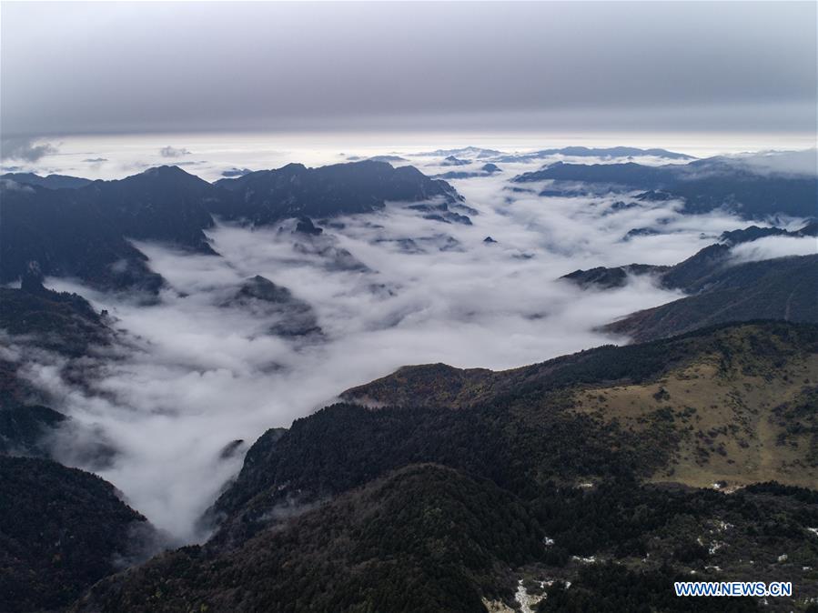 CHINA-HUBEI-SHENNONGJIA-SCENERY (CN)