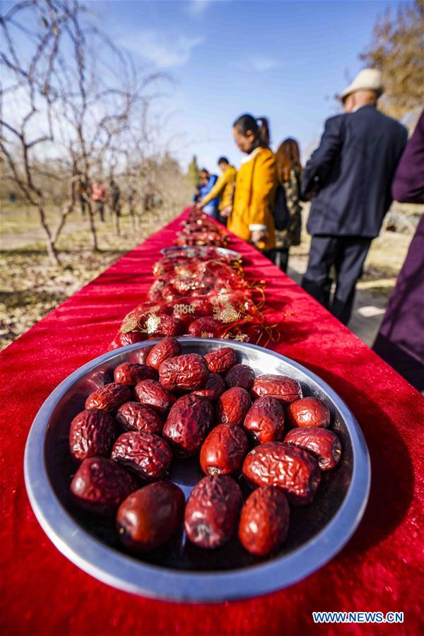 CHINA-XINJIANG-QIEMO-JUJUBE (CN)