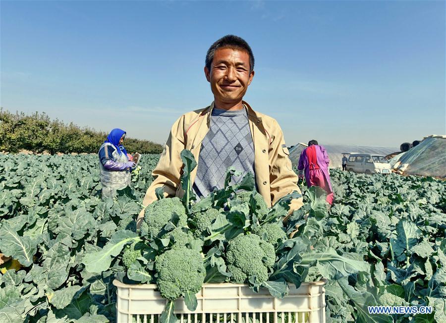 CHINA-HEBEI-AGRICULTURE-DEVELOPMENT (CN)