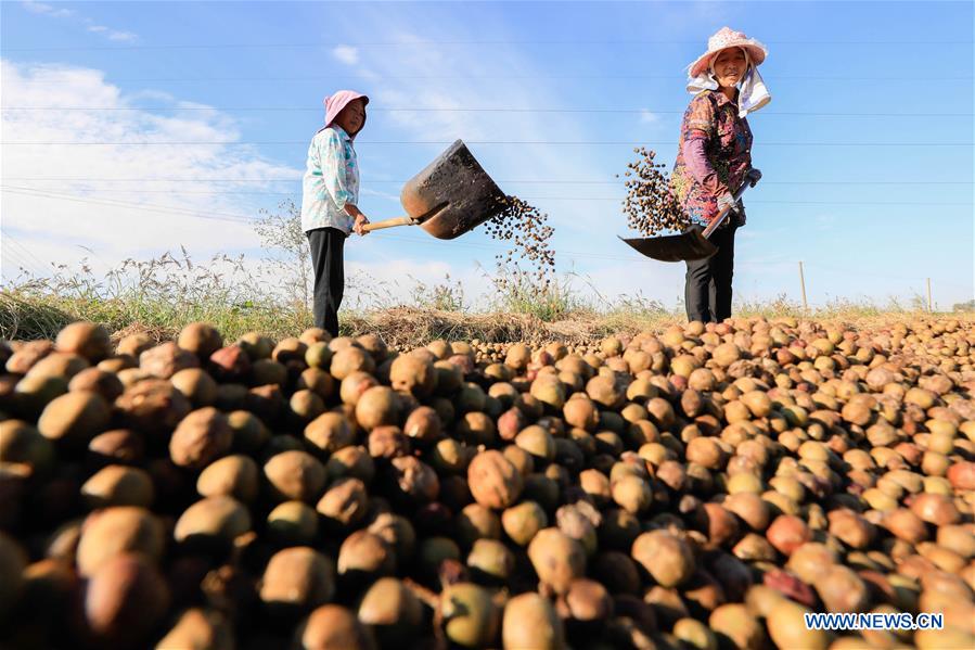 XINHUA PHOTO WEEKLY CHOICES