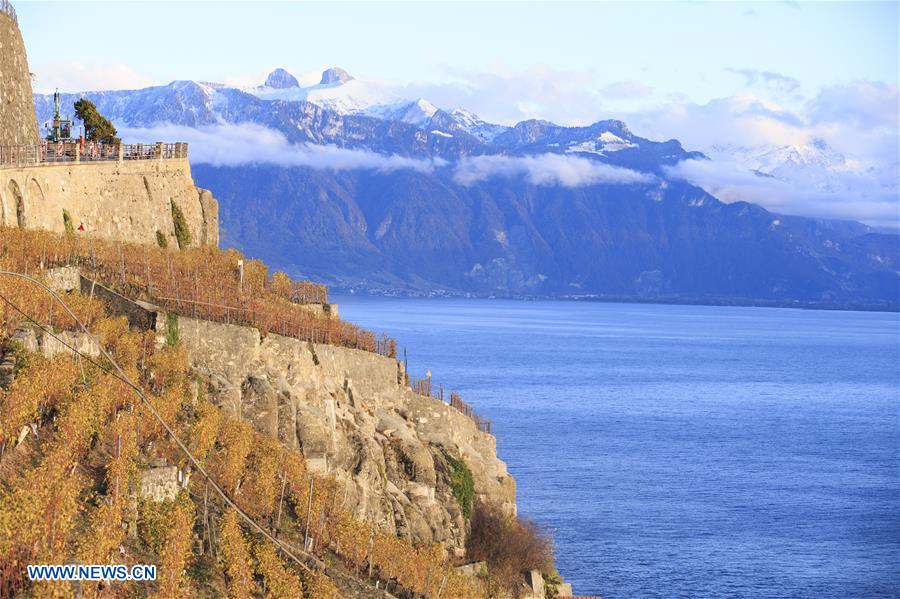 SWITZERLAND-LAVAUX-VINEYARDS-AUTUMN SCENERY