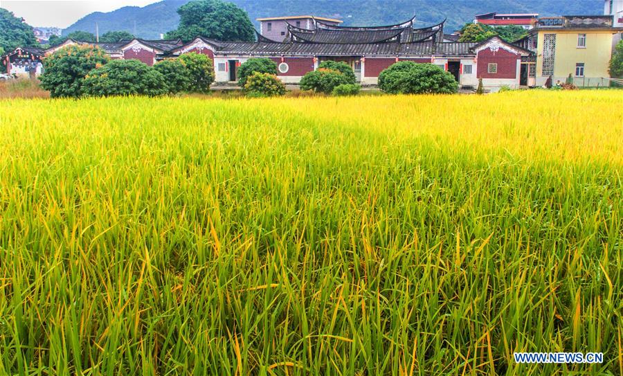 #CHINA-FUJIAN-YONGCHUN-ANCIENT TOWN (CN)