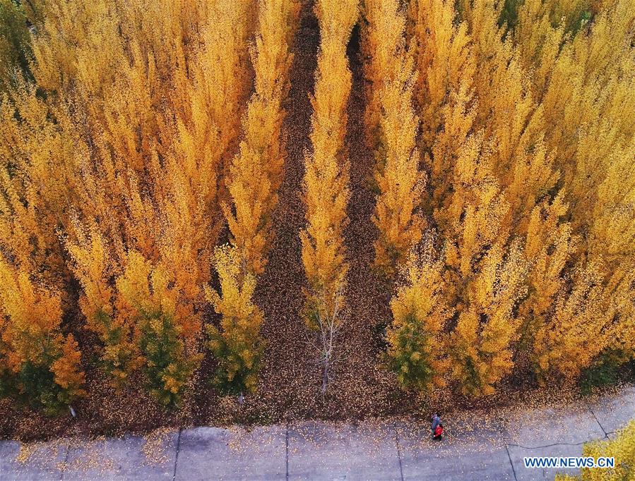 #CHINA-SCENERIES (CN)