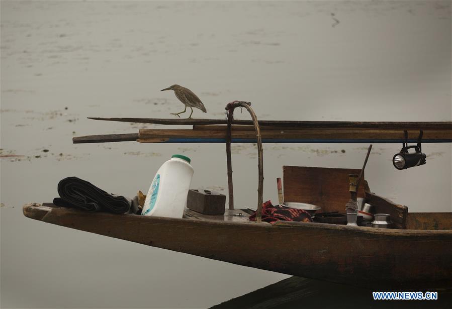 KASHMIR-SRINAGAR-WEATHER