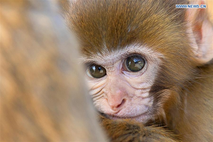 XINHUA PHOTO WEEKLY CHOICE