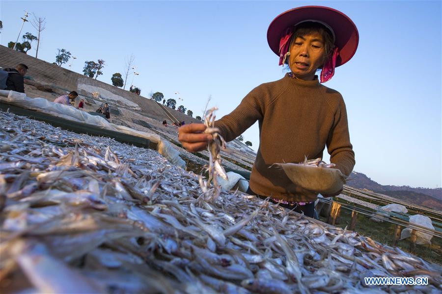 #CHINA-JIANGXI-FISHERY-PRODUCTION (CN)