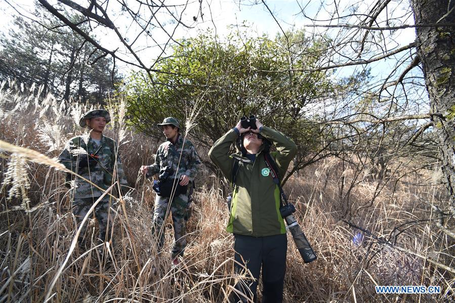 CHINA-FUJIAN-MOUNT WUYI-SCIENTIFIC EXPEDITION (CN)