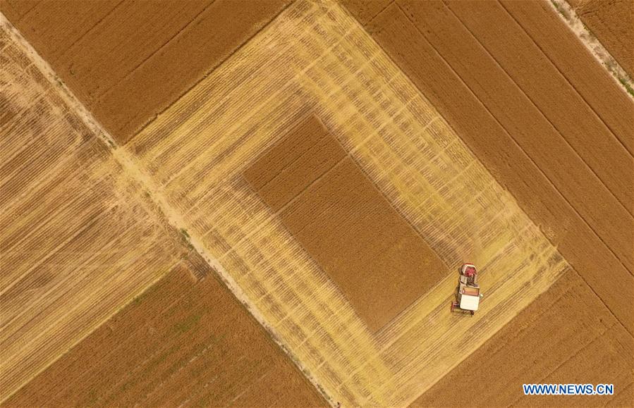 CHINA-MECHANIZED AGRICULTURE (CN)