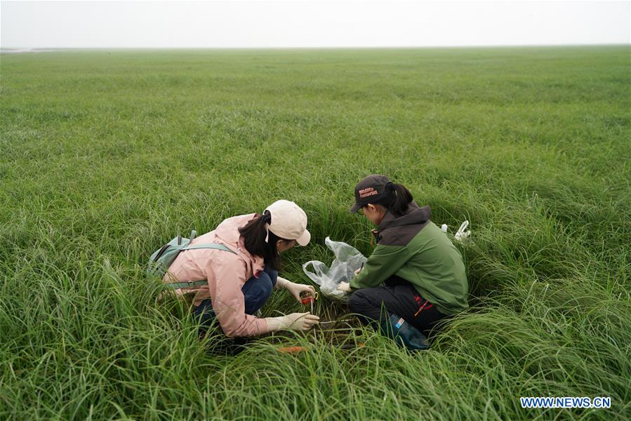 CHINA-HUNAN-DONGTING LAKE-ENVIROMENT PROTECTION