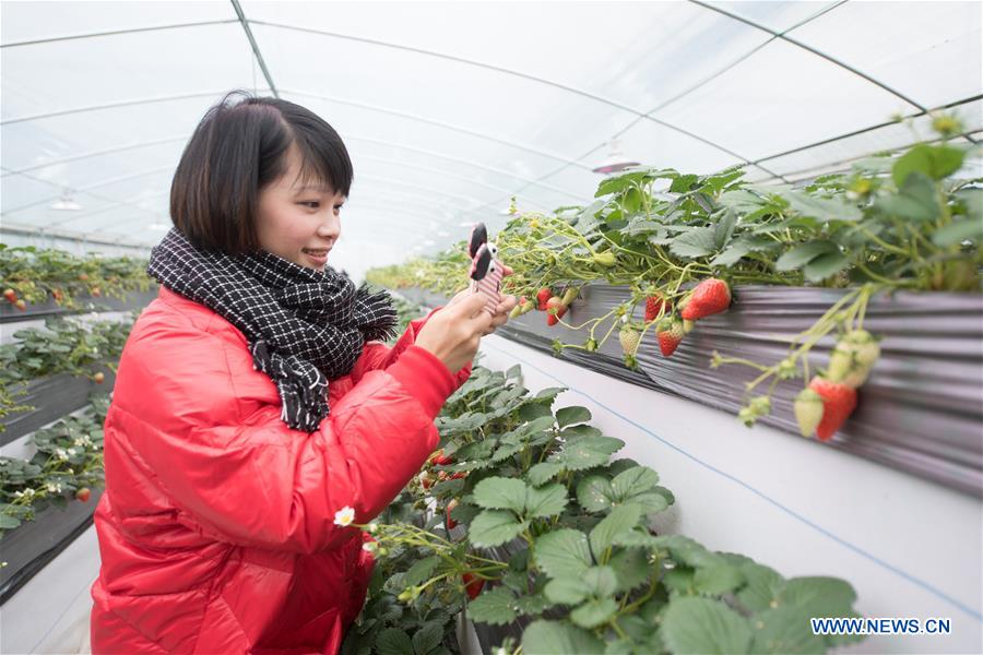 CHINA-ZHEJIANG-JIANDE-AGRICULTURE