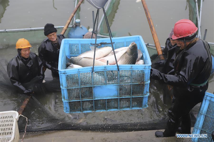 #CHINA-JIANGSU-FISHING (CN)