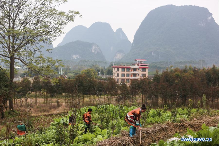 CHINA-GUANGXI-RONGSHUI-POVERTY ALLEVIATION (CN)