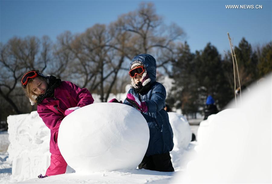 CHINA-HARBIN-FAMILY SNOW SCULPTURE COMPETITION (CN)