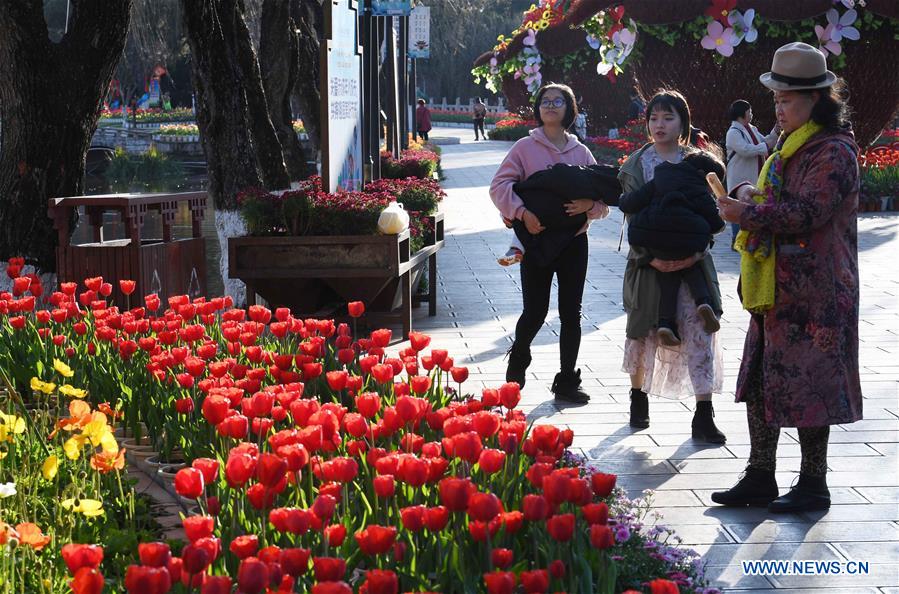 CHINA-KUNMING-FLOWERS (CN)