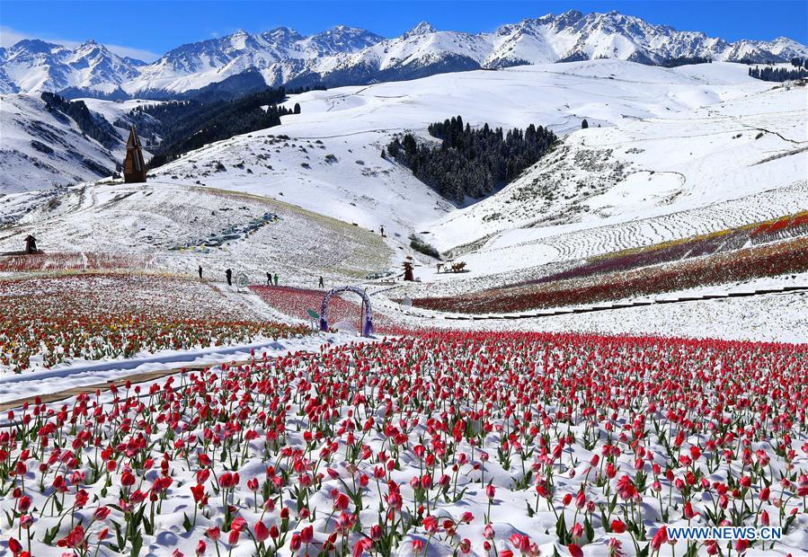 CHINA-TOURISM-GROWTH(CN)