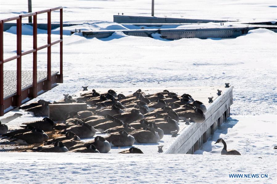 U.S.-CHICAGO-TEMPERATURE-COLDEST-RECORD-BREAKING