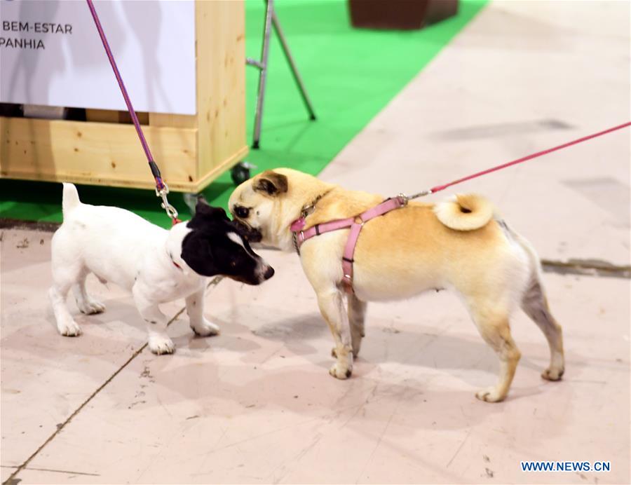 PORTUGAL-LISBON-PET SHOW