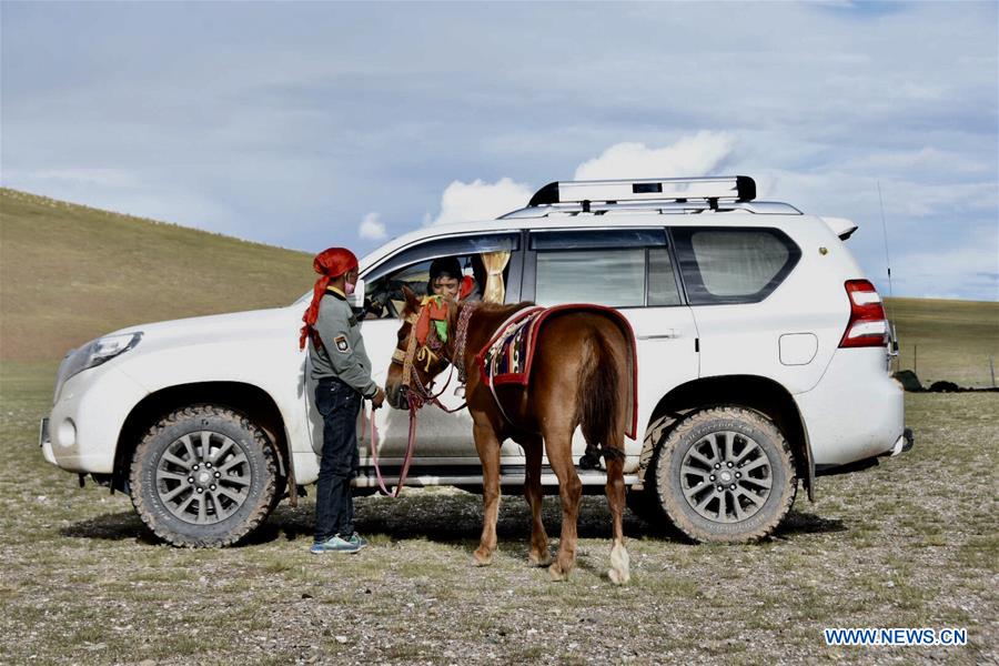 (InTibet) CHINA-TIBET-HORSE (CN)